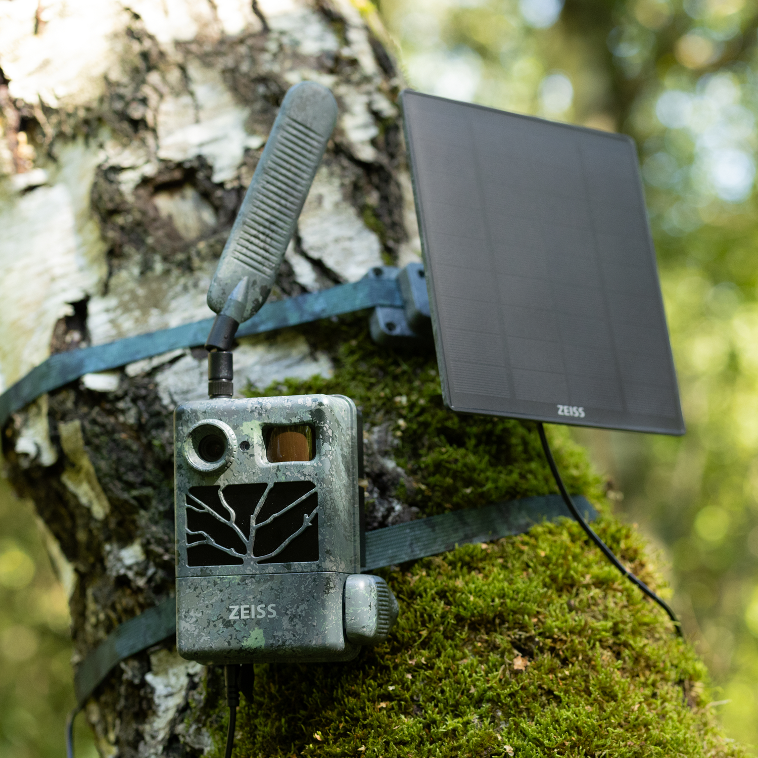 Zeiss Secacam Solarpanel