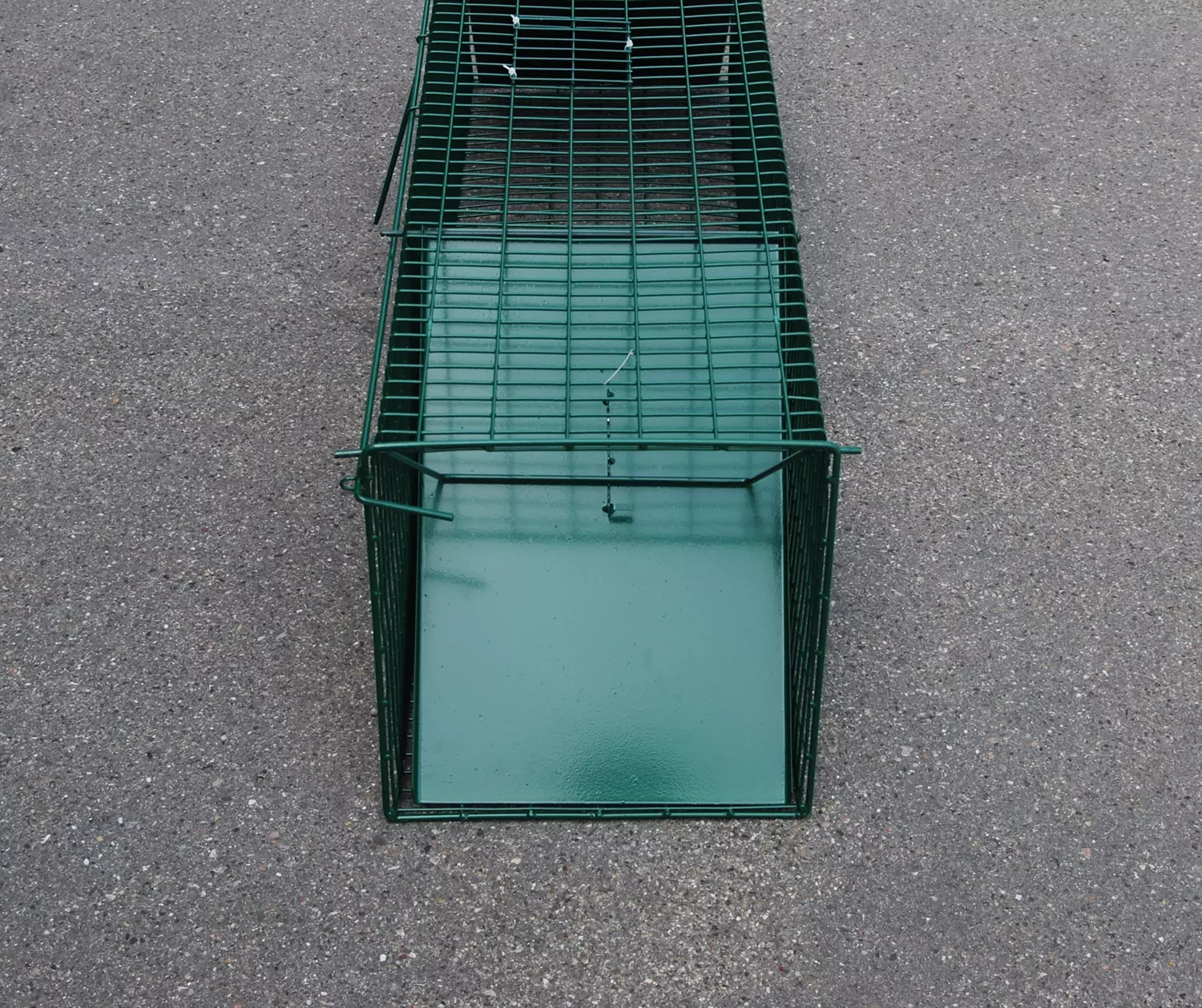Drahtkastenfalle klein
