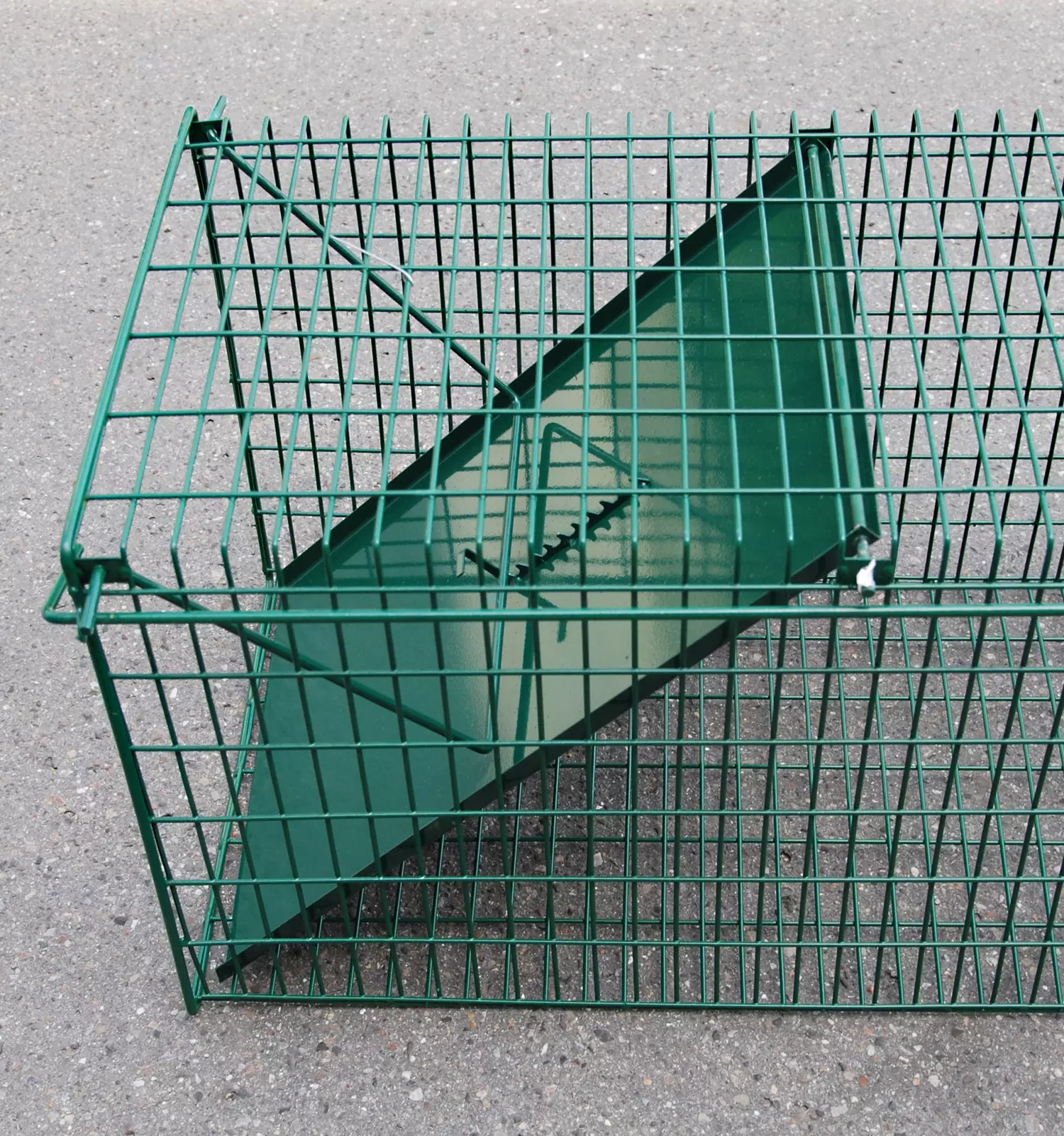 Drahtkastenfalle klein