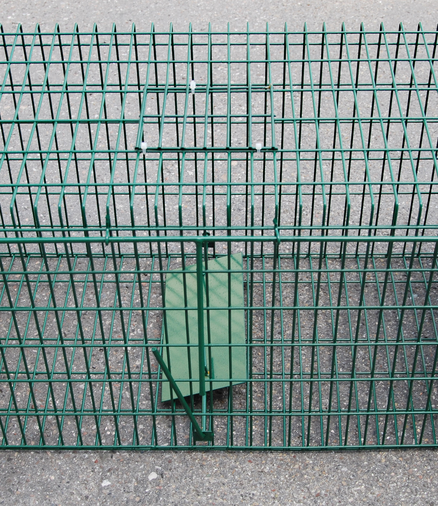 Drahtkastenfalle gross