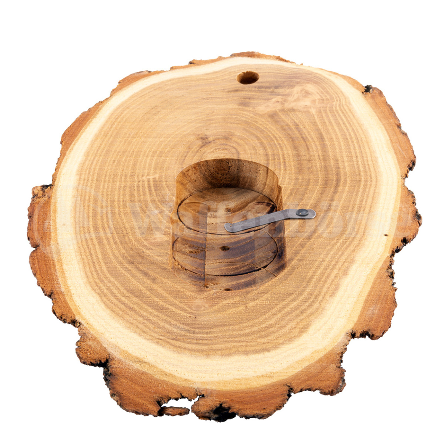 Gehörnbrett, Trophäenschilder Reh-Bock Akazie mit Fach