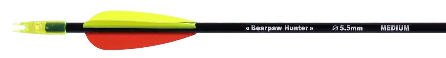 BEARPAW Carbonpfeil Penthalon Slim Line 600 medium Plastikfletches