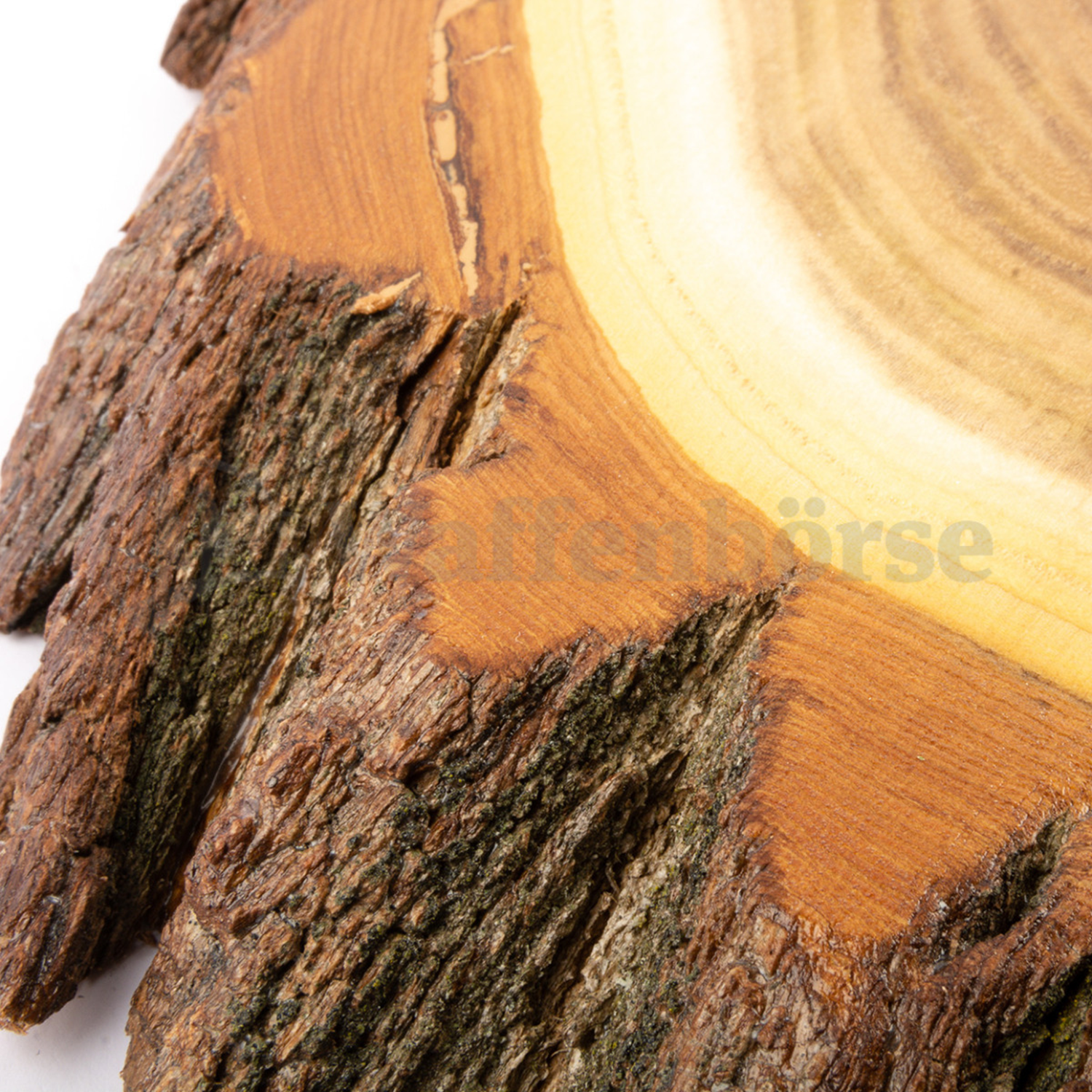 Gehörnbrett, Trophäenschilder Hirsch  Akazie