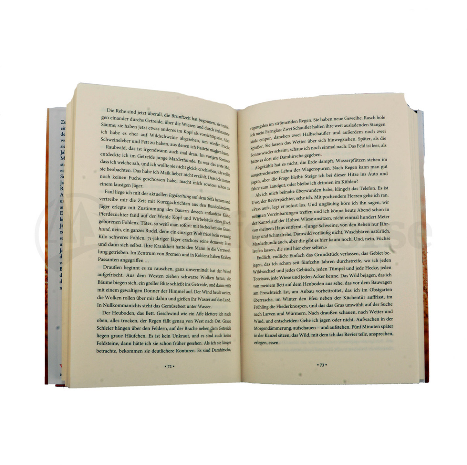 C.H. Beck BEUTE Mein Jahr auf der Jagd Rehbock, über Rehe Restposten