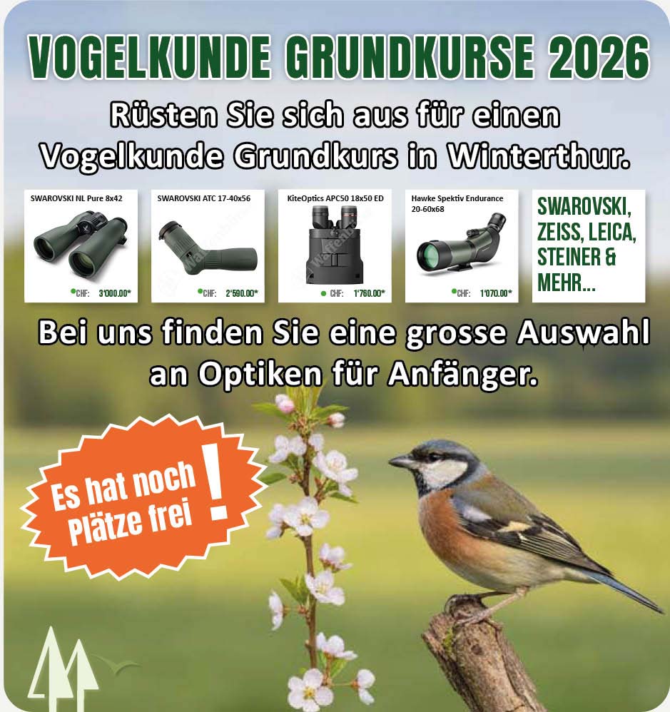 schnaeppchen Mobile Banner